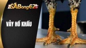 Vảy Hổ Khấu