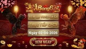 Xem Lại Video Đá Gà CPC3 Trực Tiếp Ngày 02/04/2026