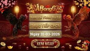 Xem Lại Video Đá Gà CPC5 Trực Tiếp Ngày 31/03/2026