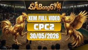Xem Full Video Đá Gà CPC2 Ngày 30/05/2026