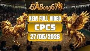 Xem Full Video Đá Gà CPC5 Ngày 27/5/2026