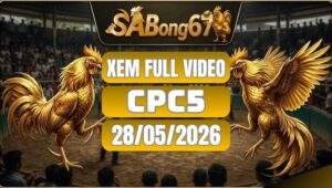 Xem Full Video Đá Gà CPC5 Ngày 28/5/2026