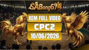Phát Lại Đá Gà CPC2 Ngày 10/06/2026 Tại SABONG67