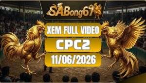Phát Lại Đá Gà CPC2 Ngày 11/06/2026 Tại SABONG67