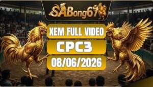 Phát Lại Đá Gà CPC3 Ngày 08/06/2026