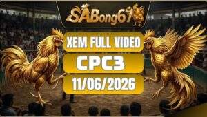 Phát Lại Đá Gà CPC3 Ngày 11/06/2026 Tại SABONG67