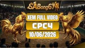 Phát Lại Đá Gà CPC4 Ngày 10/06/2026 Tại SABONG67