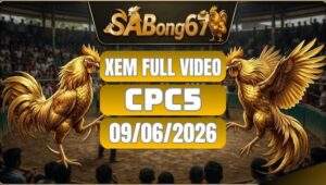 Phát Lại Đá Gà CPC5 Ngày 09/06/2026 Tại SABONG67
