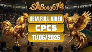 Phát Lại Đá Gà CPC5 Ngày 11/06/2026 Tại SABONG67