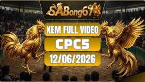 Phát Lại Đá Gà CPC5 Ngày 12/06/2026 Tại SABONG67